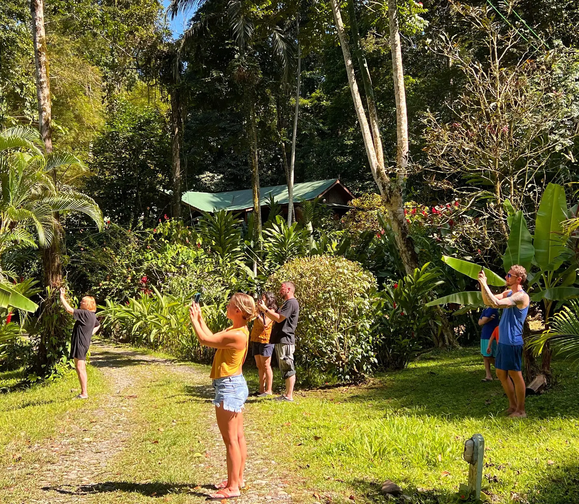 Guests at Geckoes Lodge watching a sloth descend from the trees
